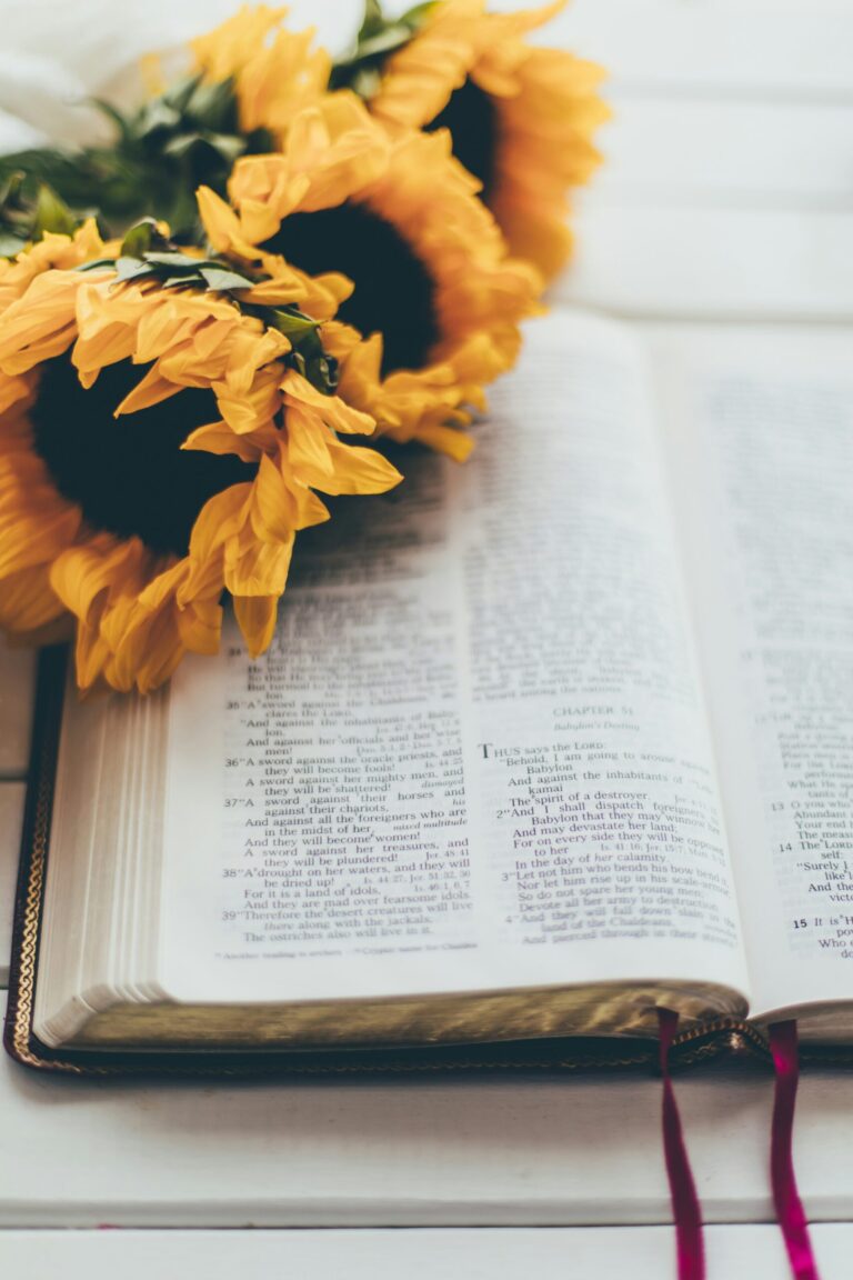 5 Reasons To Empower You To Study The Bible